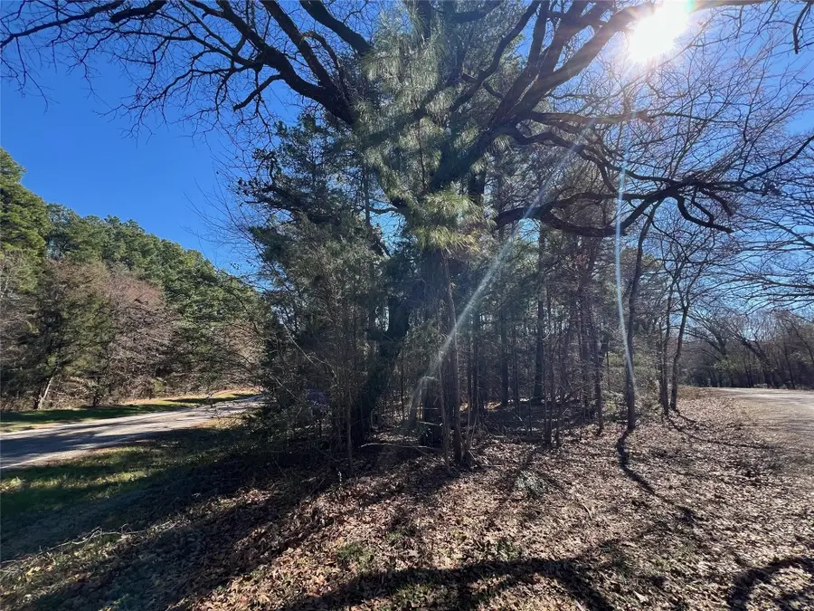 TBD Farm Market 1521, Pittsburg, TX 75686 - Image #2