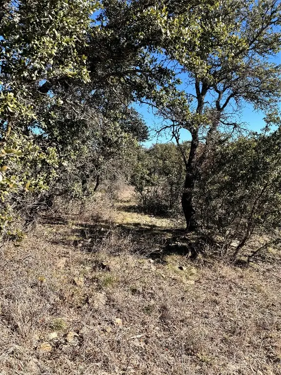 349 Oak Point Drive, May, TX 76857 - Image #2