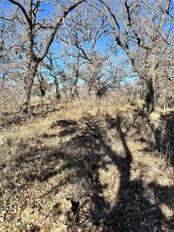 349 Oak Point Drive, May, TX 76857 - Image #3