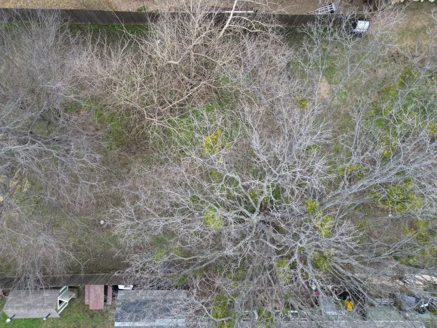 1822 Muncie Avenue, Dallas, TX 75212 - Image #3