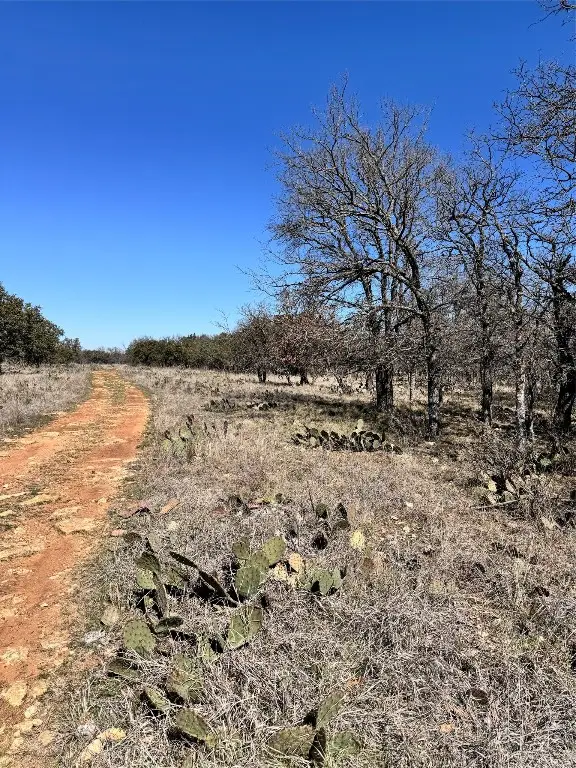 136 Red Oak Drive, May, TX 76857 - Image #3