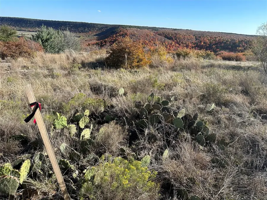 120 Oak Tree Drive, Graford, TX 76449 - Image #2