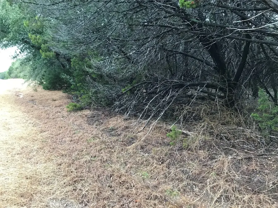 25060 Southhill Drive, Whitney, TX 76692 - #2