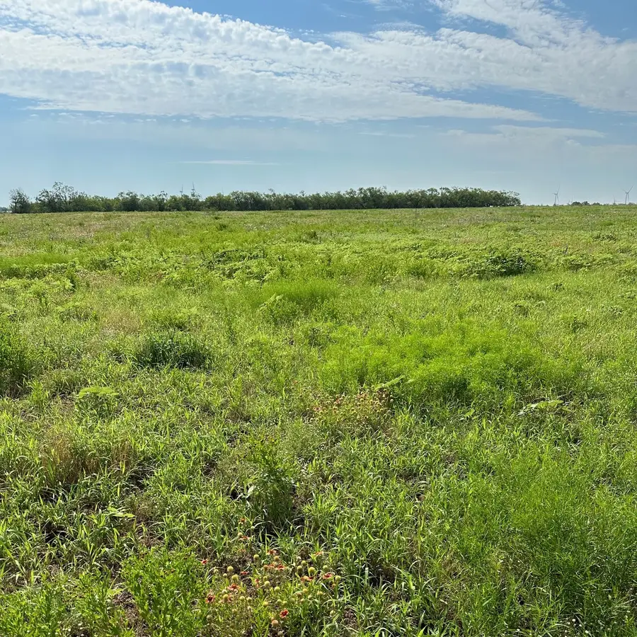 Tract 23 Cr 105, Abilene, TX 79601 - Image #2