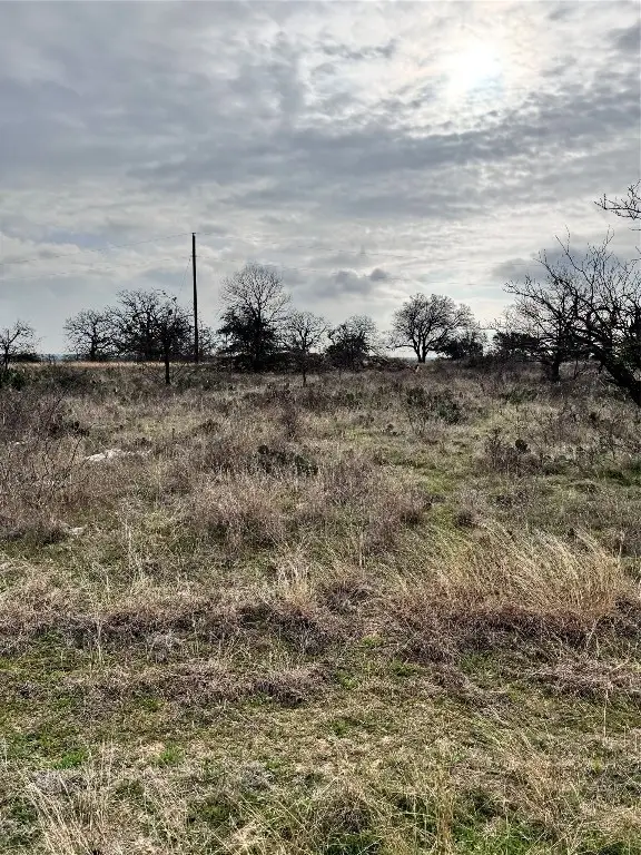 TBD Lot 355 Feather Bay Drive, Brownwood, TX 76801 - #3