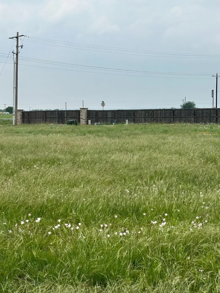 142 Ashley Drive, Tuscola, TX 79562 - Image #2