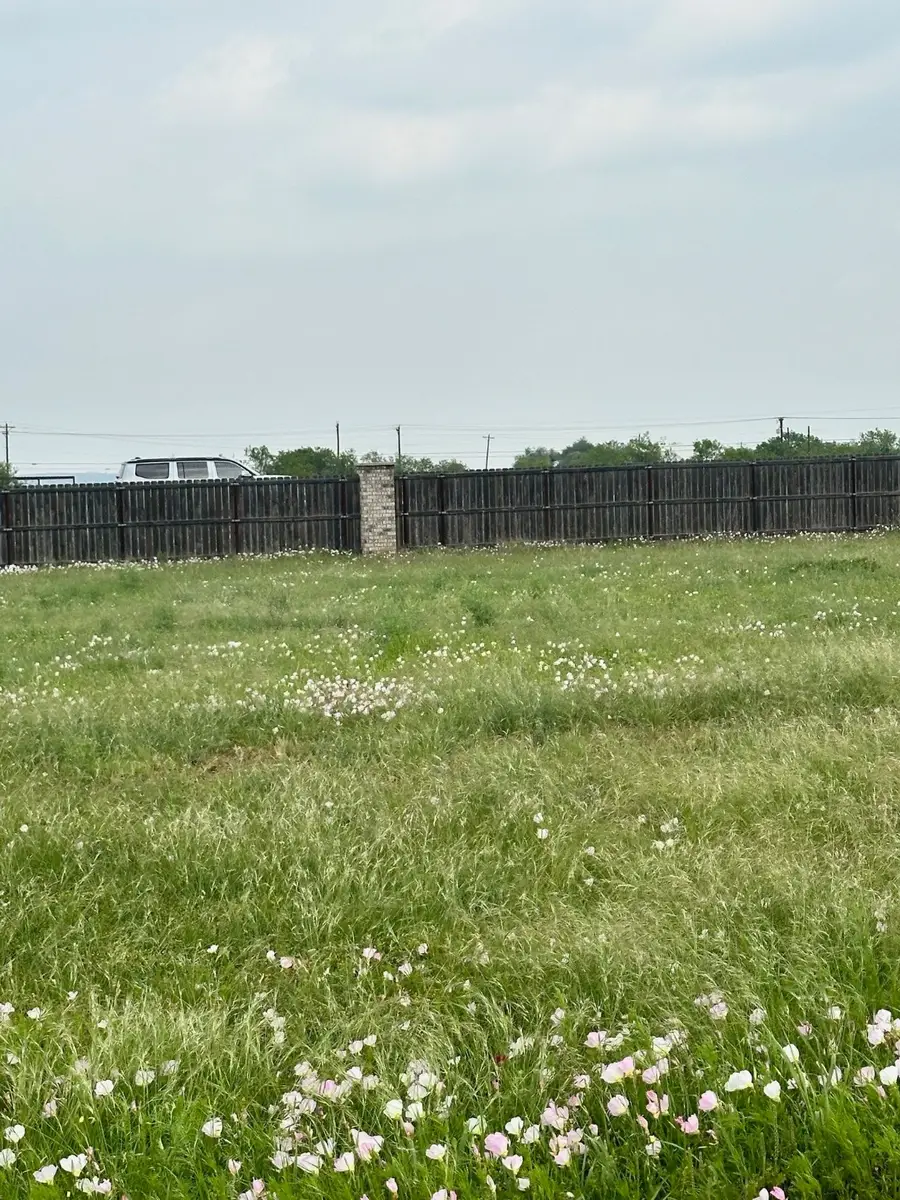 142 Ashley Drive, Tuscola, TX 79562 - Image #3