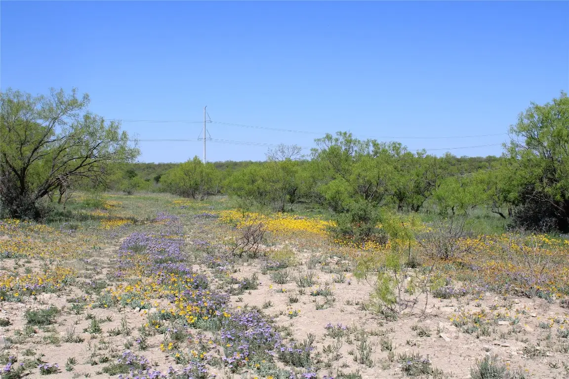 0 Fm 1929, Paint Rock, TX 76866 - Image #1