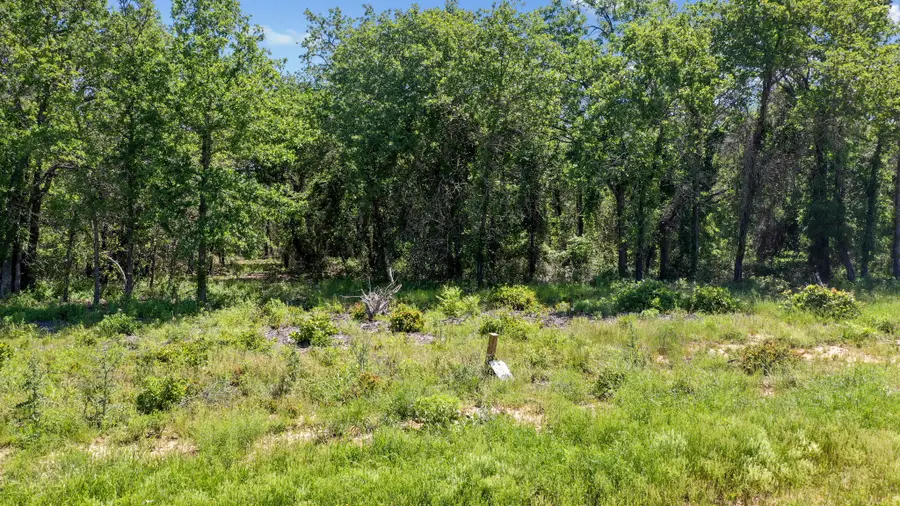 3028 Creekwood Terrace, Poolville, TX 76487 - Image #3