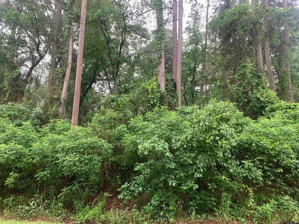 TBD Canadian Drive, Scroggins, TX 75480 - Image #1