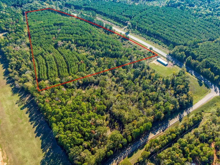 0 Hwy 155, Avinger, TX 68846 - Image #2