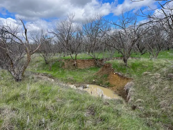 E 17 ac Burwick Road, Jacksboro, TX 76458