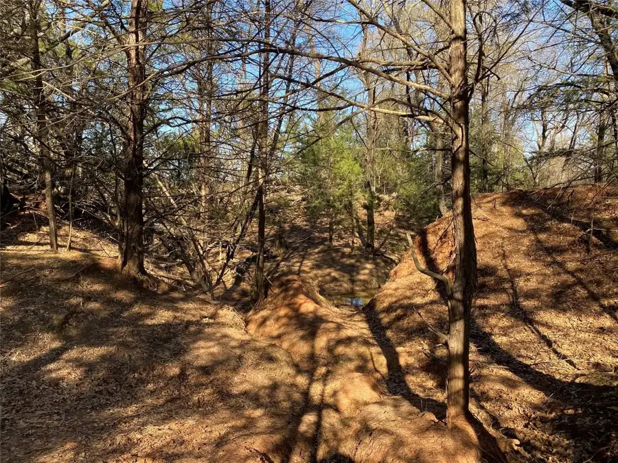 TBD County Road 2100, Ivanhoe, TX 75447 - Image #2