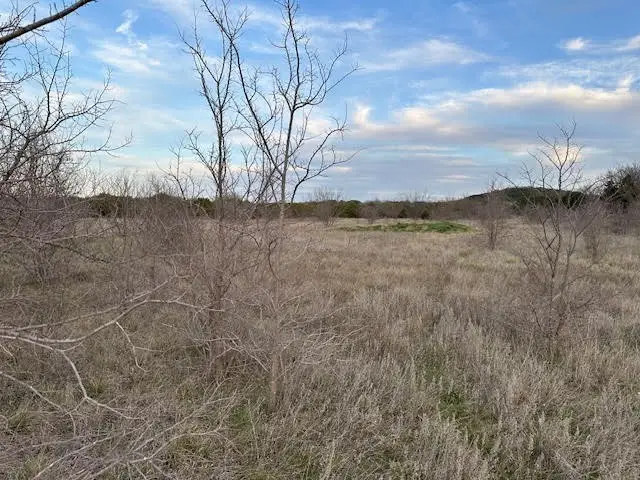 Lot 35 Canyon Wren Loop, Graford, TX 76449 - Image #3