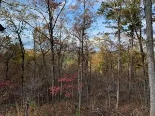Lot 31 Moonshiner Springs Trail, Broken Bow, OK 74728 - Image #3
