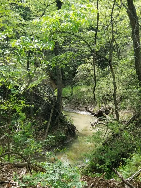 0 Fleming Road, Bells, TX 75414 - Image #3