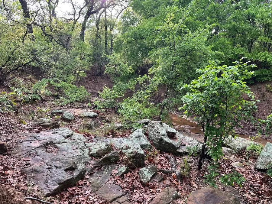 W. 34.1 Hoffman Road, Loving, TX 76460 - Image #2