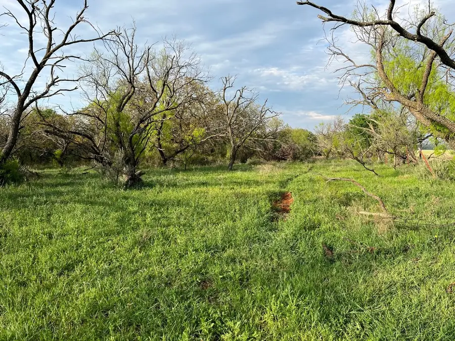 E. 34.1 Hoffman Road, Loving, TX 76460 - Image #2