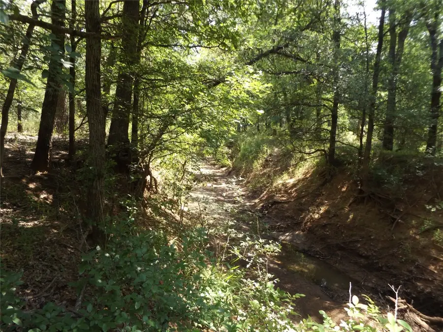 E. 34.1 Hoffman Road, Loving, TX 76460 - Image #3