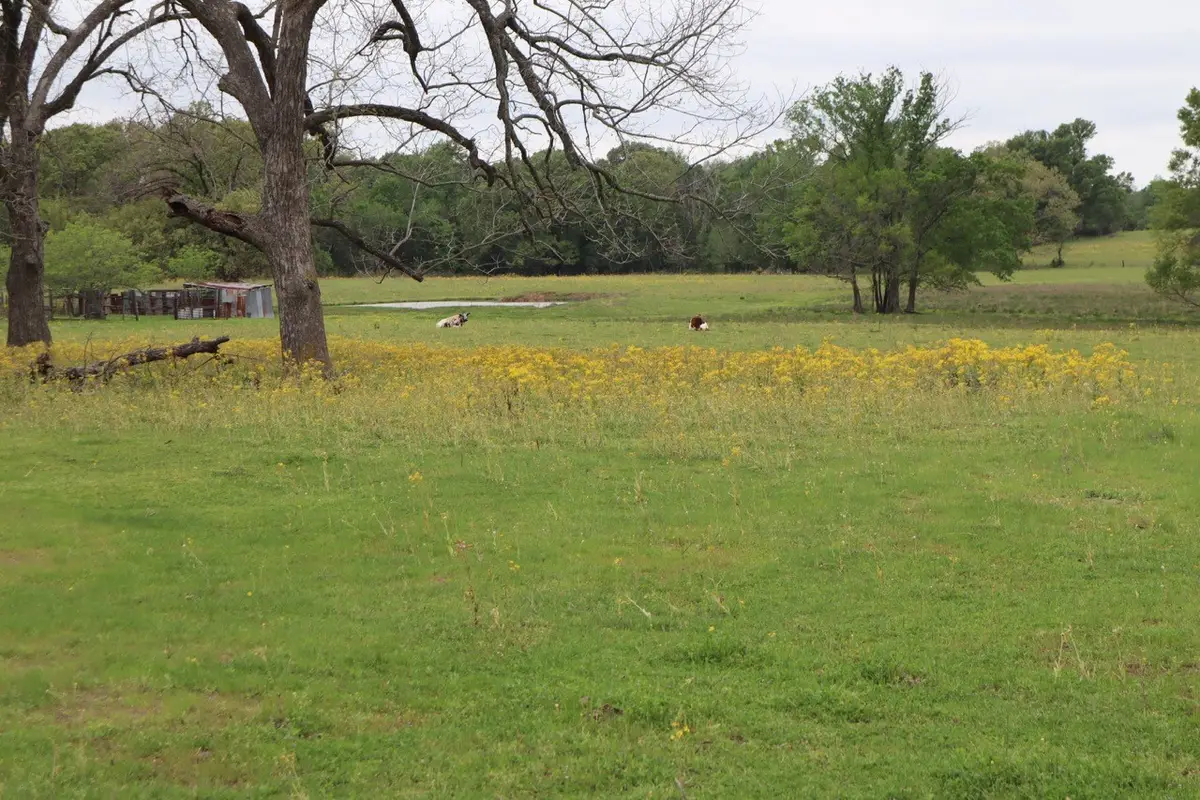 TBD Rs County Road 2365, Alba, TX 75410 - Image #1