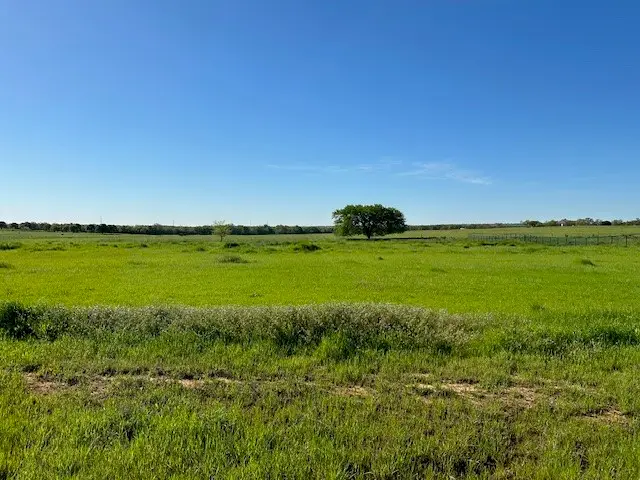 Lot 17 Monarch Court, Poolville, TX 76487 - Image #1