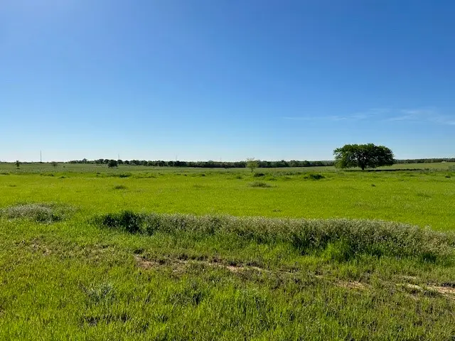 Lot 17 Monarch Court, Poolville, TX 76487 - Image #3