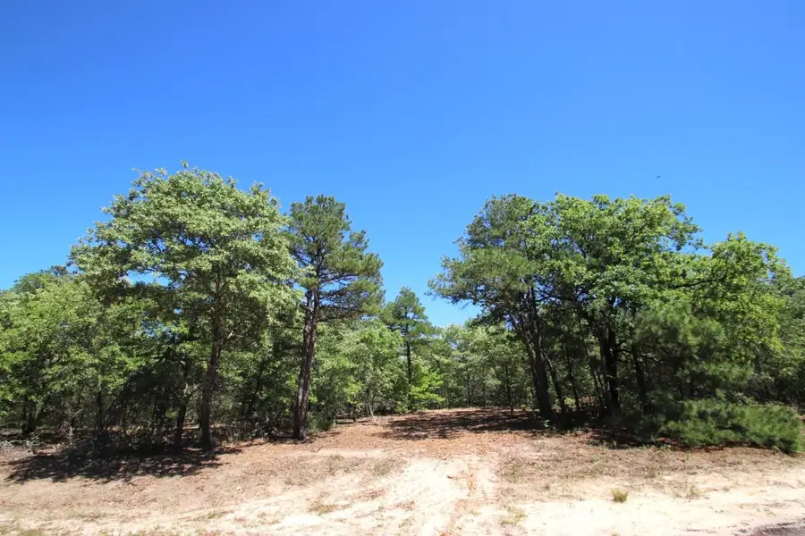 TBD County Road 4552, Winnsboro, TX 75494 - Image #2