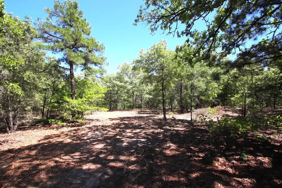TBD County Road 4552, Winnsboro, TX 75494 - Image #3