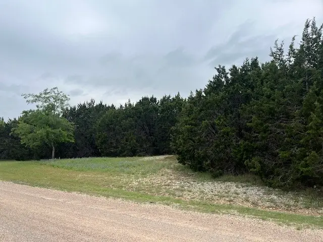 1759 Highland Drive, Whitney, TX 76692 - #2