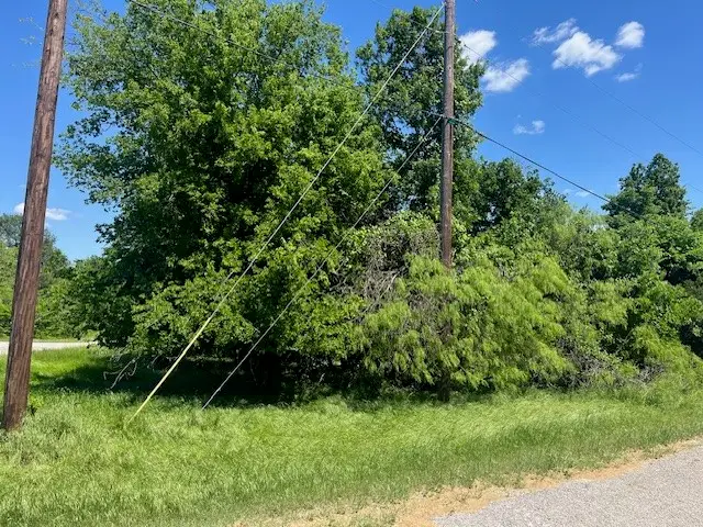 21046 Hill Terrace Court, Whitney, TX 76692 - #3