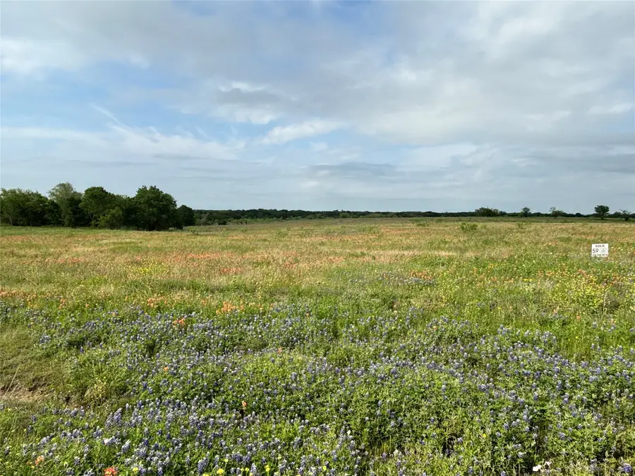 TBD PR 373 County Road 3373, Hubbard, TX 76648 - #3
