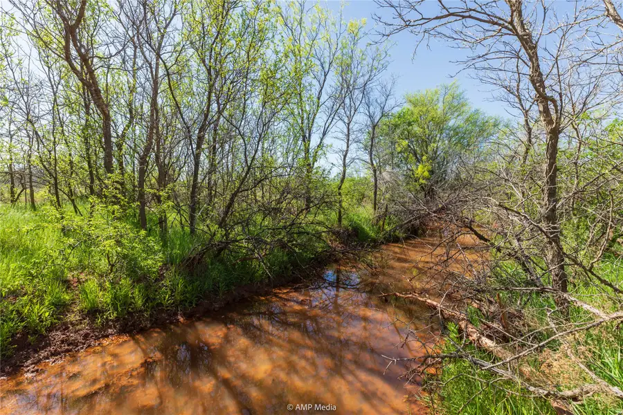 0 Cr 121, Trent, TX 76116 - Image #2