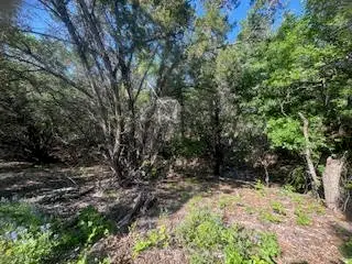 1018 Creek Crossing Road, Nemo, TX 76070 - Image #2