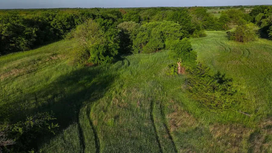 TBD Fm 103, Nocona, TX 76255 - Image #2