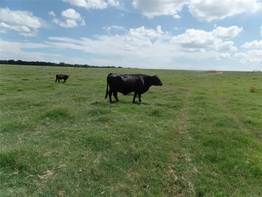 TBD Fm 3025, Stephenville, TX 76401 - #2