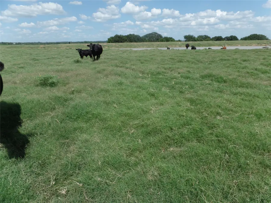 TBD Fm 3025, Stephenville, TX 76401 - #3