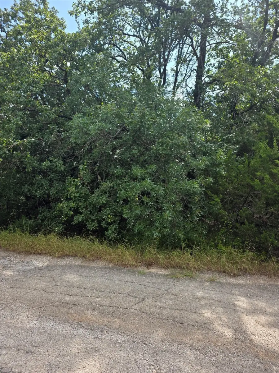 6014 N Oklahoma Trail, Granbury, TX 76048 - Image #2