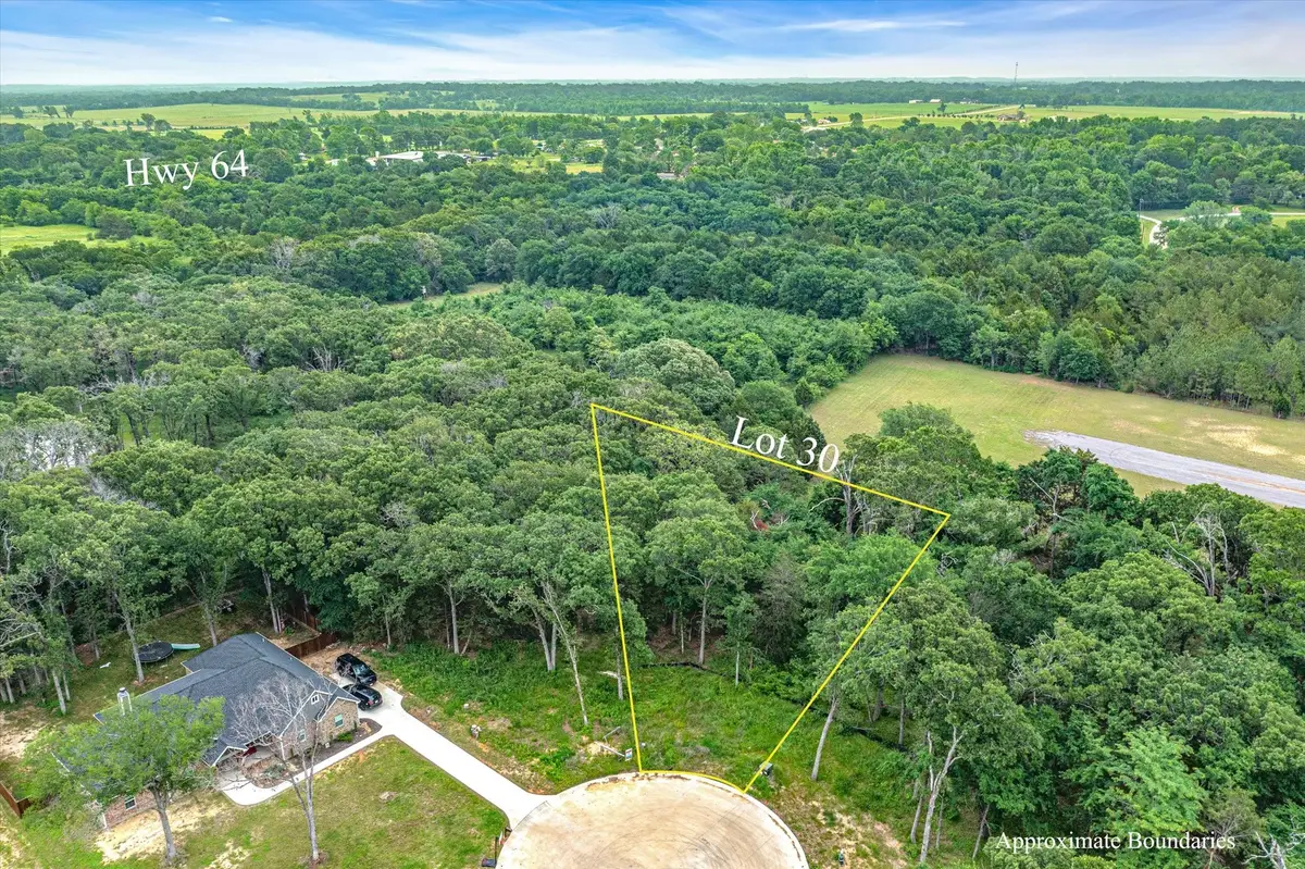 TBD Lot 30 Lakeview Drive, Canton, TX 75103 - Image #1