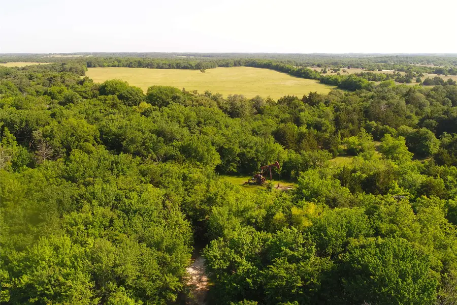 TBD1 County Rd 116, Callisburg, TX 76240 - Image #2