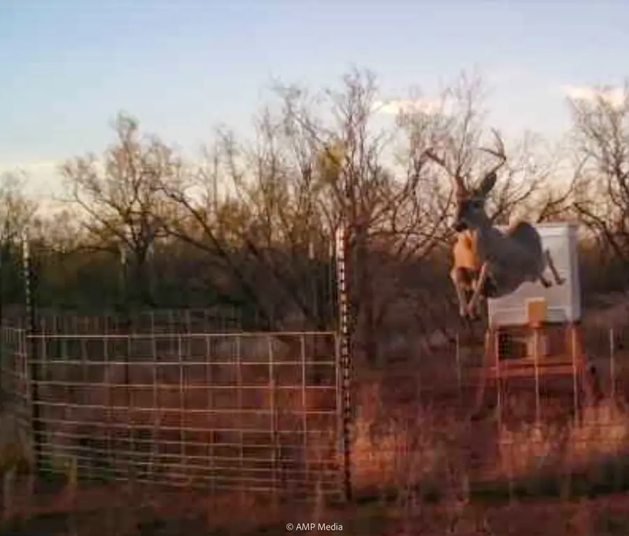 T B D Fm 600, Haskell, TX 79521 - Image #2