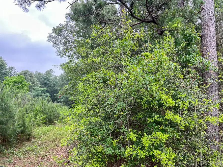 0 Fm 1475, Lufkin, TX 75901 - #2