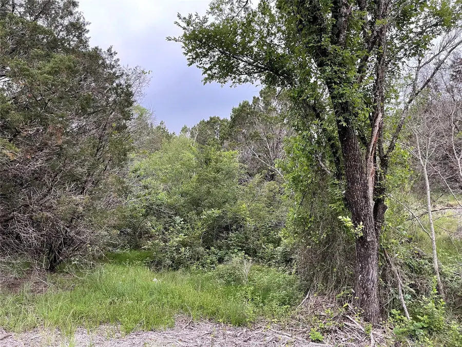 1083 Cedar Hill Drive, Nemo, TX 76070 - Image #3