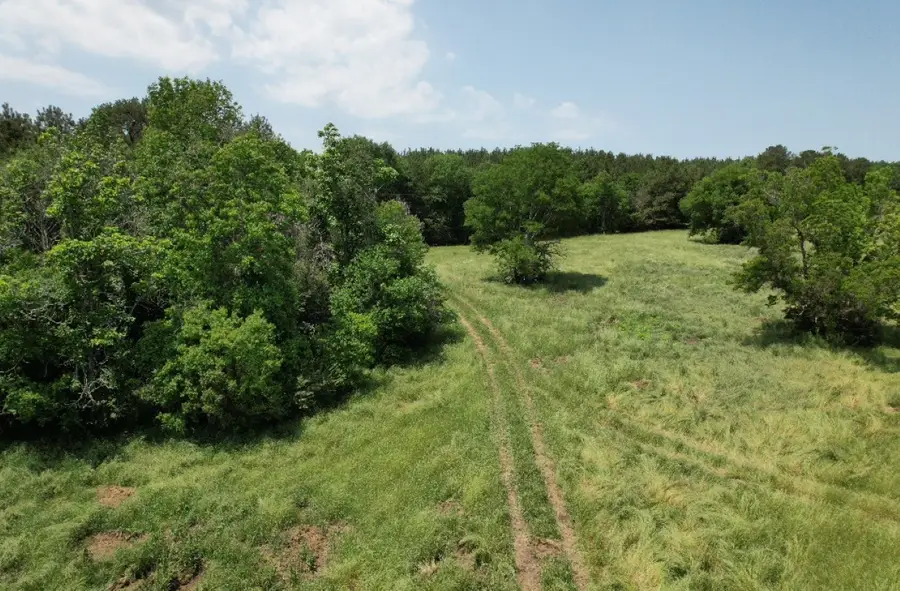 TBD-C County Road 4653, Tenaha, TX 75974 - #2