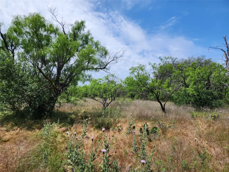 TBD County Road 125, Cisco, TX 76437 - Image #2