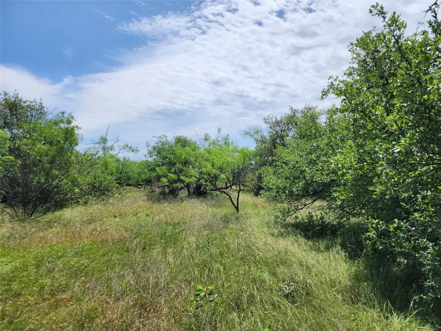 TBD County Road 125, Cisco, TX 76437 - Image #3