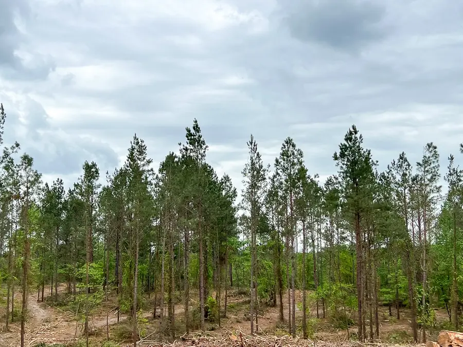 15 Cr 2140, Latexo, TX 75835 - Image #3