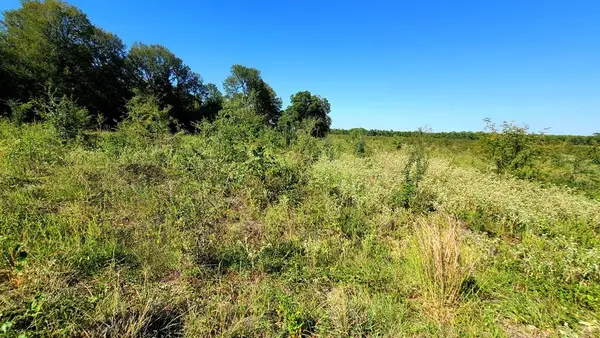 0 County Road 4612, Sulphur Springs, TX 75482