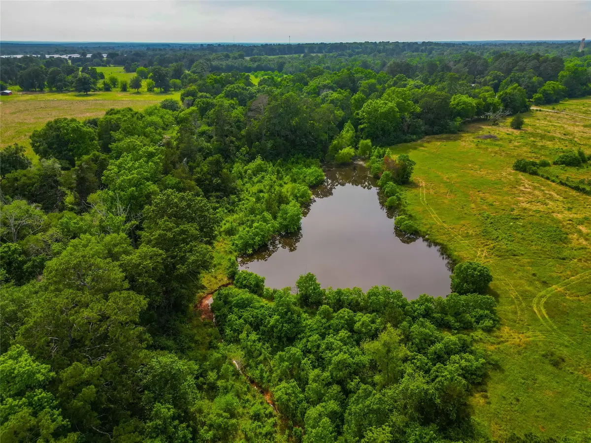 337 Cr 2751 Highway, Wells, TX 75969 - Image #1