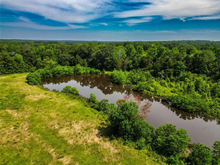 337 Cr 2751 Highway, Wells, TX 75969 - Image #3