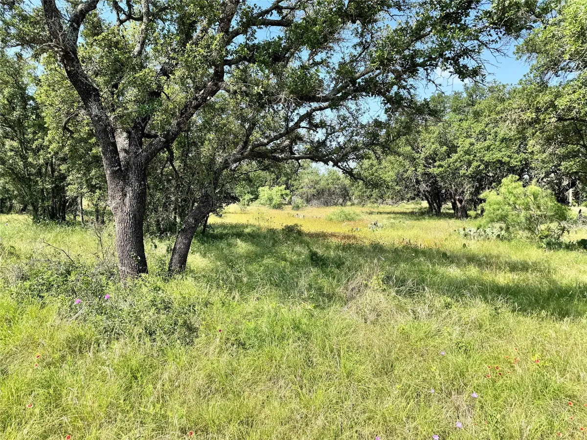 TBD Lot 667 Lanyard Way, Brownwood, TX 76801 - Image #1